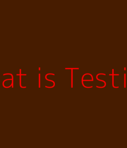 What is Testing?