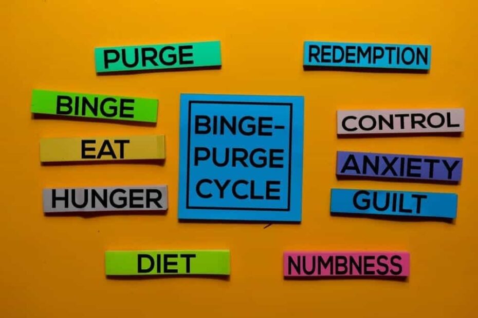 The BingePurge Cycle of Frameworks Connor's Blog