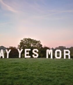 Saying Yes to Stakeholders
